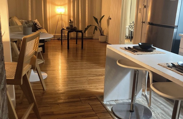Charming apartment in superb Brooklyn with AC, WiFi