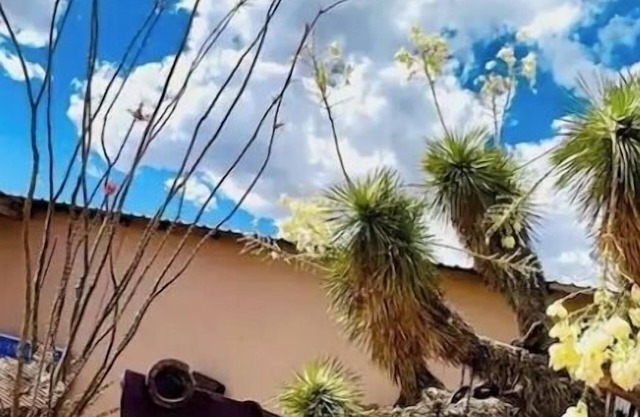 Charming bungalow with WiFi and AC in welcoming Van Horn