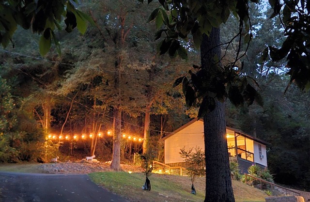 Charming cabin 1.2 miles from public boat launch on Lake Guntersville.