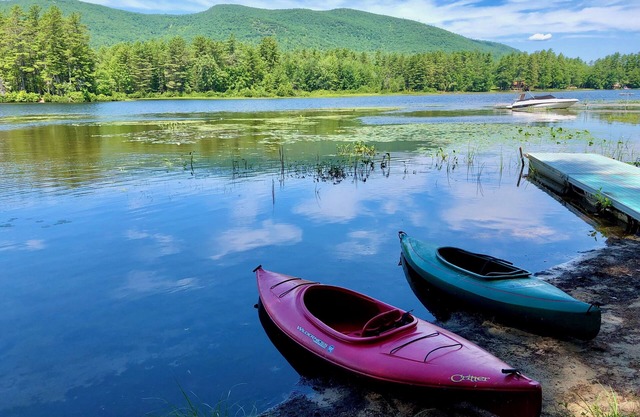 Charming Cabin, Lake Access! Backyard Bubbling Brook. Pets Welcome!