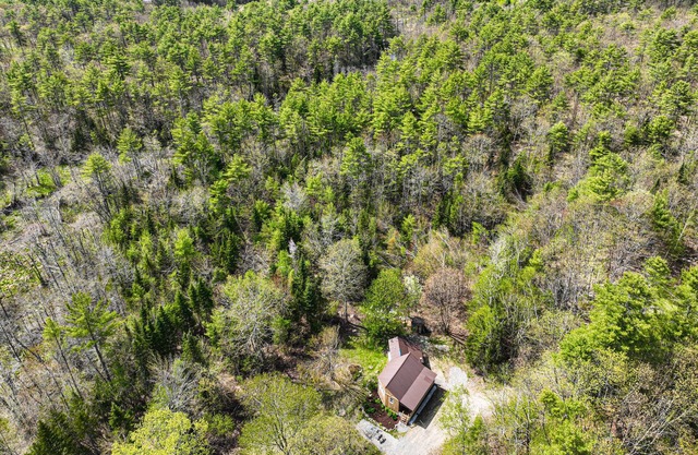 Charming Cabin with Nature's Embrace and Family-Friendly Comforts