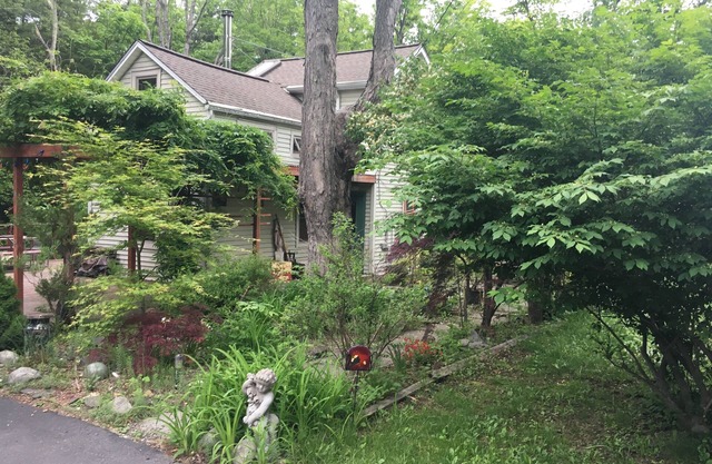 Charming, Comfy House in Woodstock