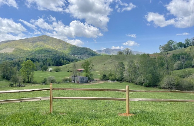 Charming condo w/Stunning Mountain Views near Downtown WJ