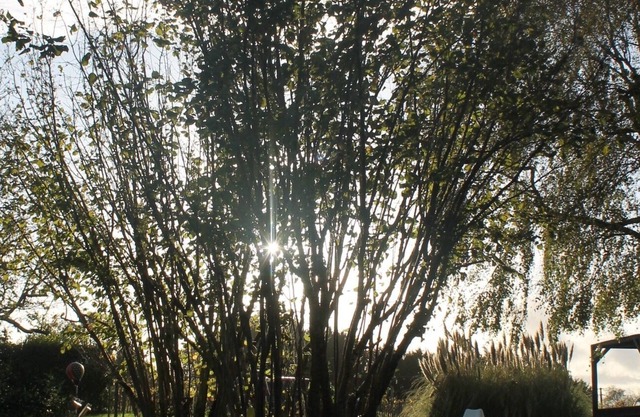Charming gîte Saint-Émilion/Bordeaux