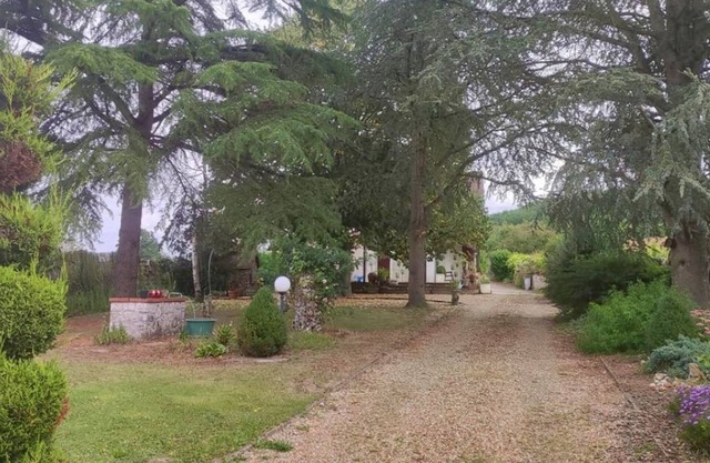 Charming gîte at the gates of Beauval zoo park