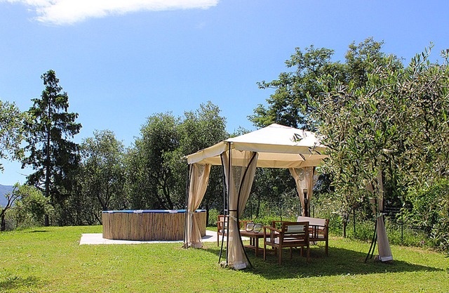 Charming House between Olive trees, big garden with amazing sea view