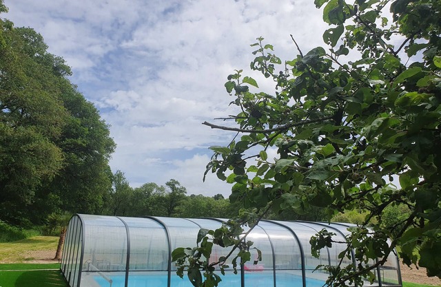 Charming Manoir du Ster gîte with heated indoor swimming pool