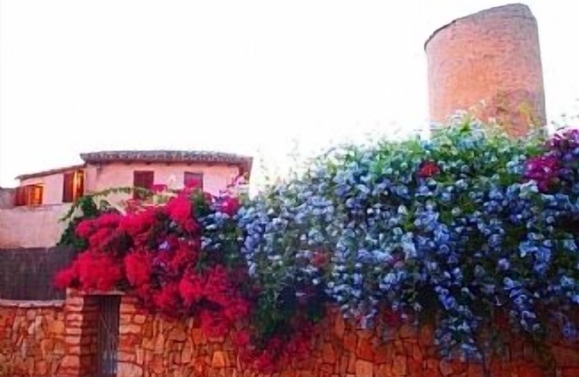 Charming Renovated Mill With Private Pool