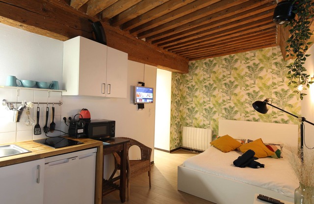 Charming Studio Centre Ville De Lyon