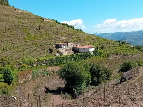 Charming Villa with Pool in Lamego