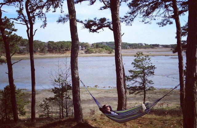 Charming Waterfront Cape Cottage in Wellfleet Near the TOP beaches and Hot Spots