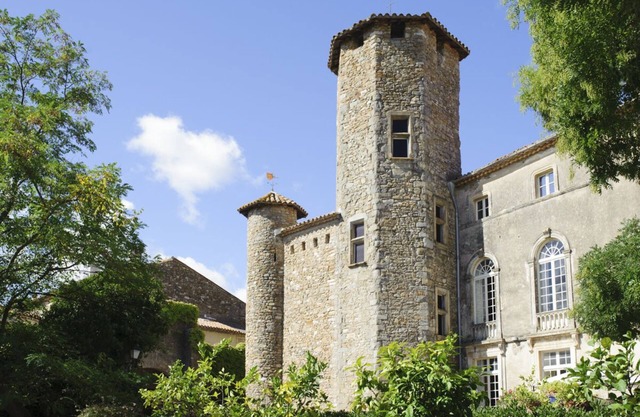 Chateau De L'Ange - Eight Bedroom Castle, Sleeps 18