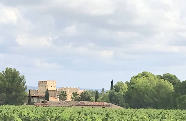 Chateau with swimming pool for 14 people in the middle of the vineyards