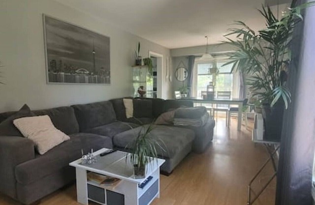 Cheerful Bright Home (Sleeps up to 12ppl)