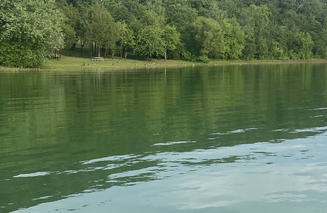 Cherokee Lake view by Gilmore Dock 1 hour from Gatlinburg