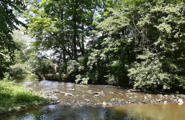 Chiques Creek Retreat Great View