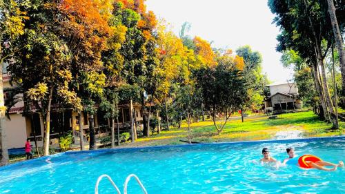 Chitwan Forest Resort with swimming pool , Chitwan National Park