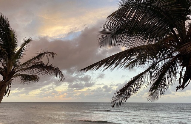Christmas/NYE Special! Pet Friendly-Surf-Isabela!