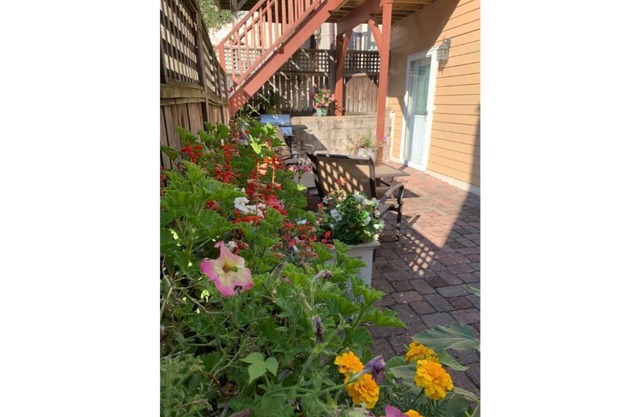 Cincinnati Oasis with Patio UC/Downtown