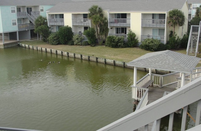 CLEAN and NEWLY Renovated! Relaxed and Fun Decor. 2B/2B with W/D