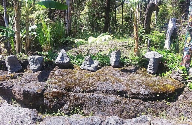 Clean Off-Grid Art Lovers Rainforest Hideaway!