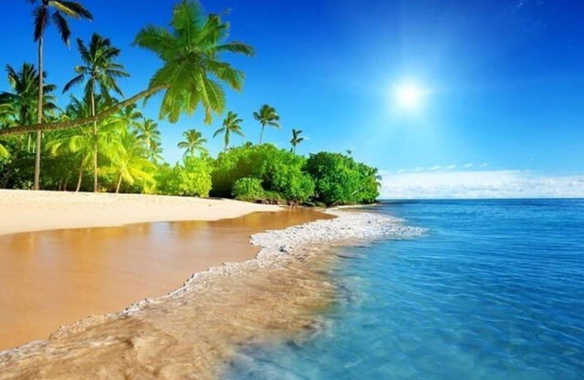 CLEARWATER! Imagine a more beautiful vacation! 11