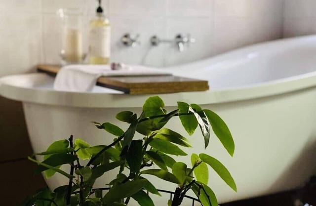 ✔️Close to EVERYTHING - Sprawling Port of Echuca Residence - 9 Guests