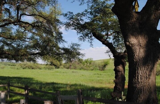 Close to Wineries, Kartchner Carverns, Patagonia, Cozy, Quiet, Scenic View