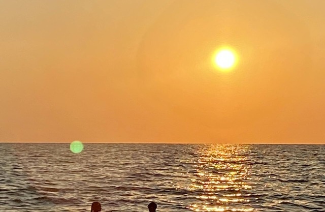 Coastal Gem Just Minutes from the Beach! 🏝