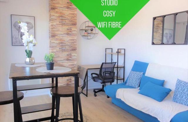 Cocon Palois studio cosy dernier étage WIFI Fibre