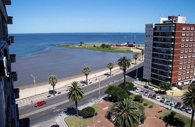 Comfortable apt. in front of Pocitos Beach and Gomensoro Plaza