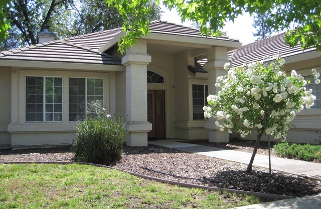 Comfy 3 beds/2 bath private unit with backyard