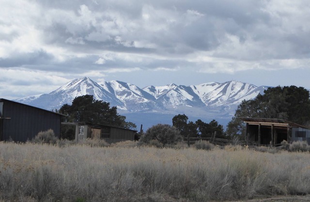 Commune with nature at very rustic 1920's homestead on 12.5 acres.