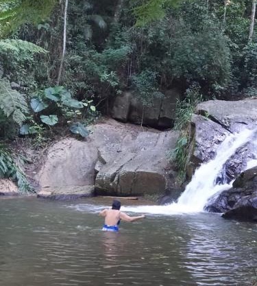 Comunidade Ibipuris