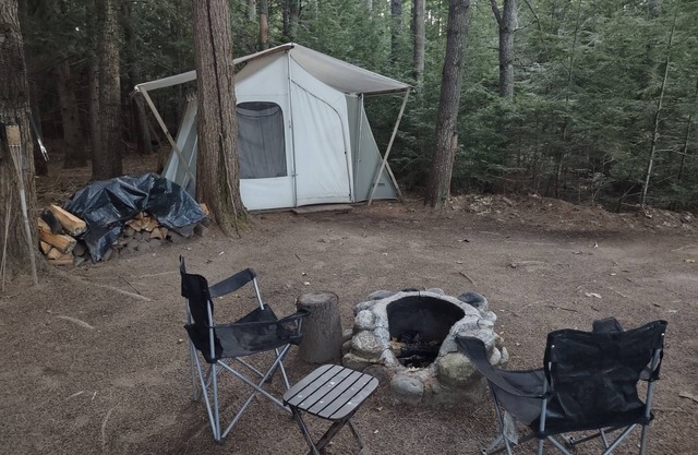 Conifer Site TMT