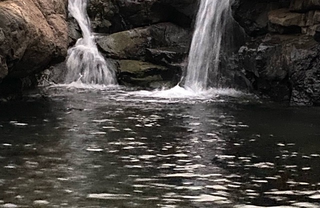 Connected with Nature
