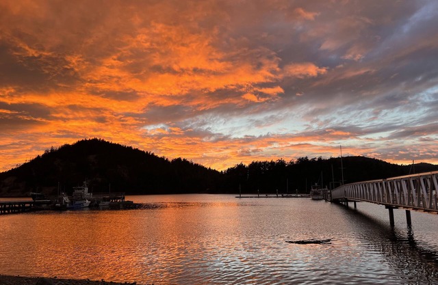 Cornet Bay home at Deception Pass State Park, 100 ft to beach, huge yard pets ok