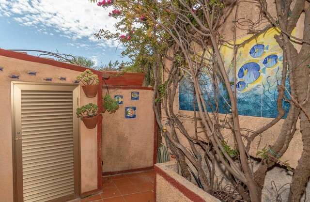 Cosy apartment for 4 guests with TV, terrace, pets allowed and parking