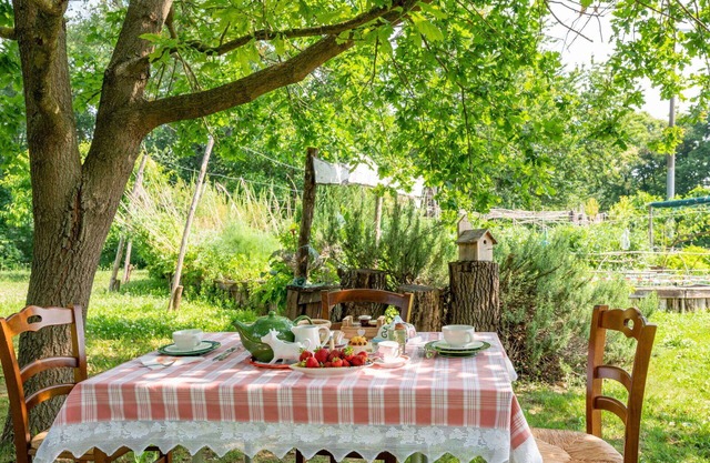 Cosy apartment for 3 people with WIFI, TV, terrace, pets allowed and parking