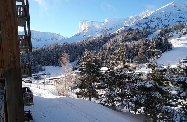 Cosy, brand-new 41m² 4/6-person apartment near ski slopes