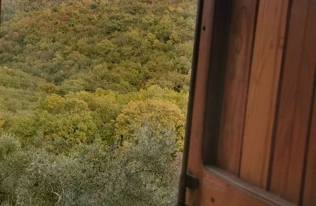 Cosy House into the wild