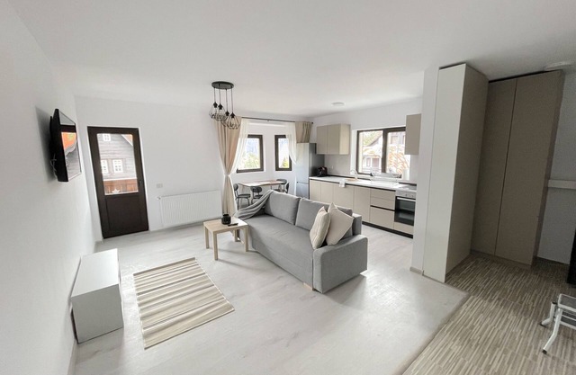 Cosy & Minimalistic 1 BDR Apartment 4 - Haret Building - near Peles Castle