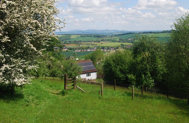 Cosy studio apartment with garden, views and forest walks from the doorstep.