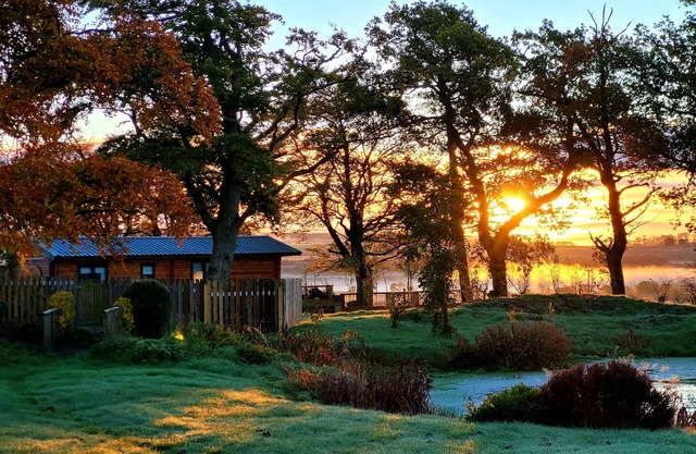 Cosy wood cabin in rural area near national park