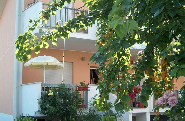 Cottage a few minutes from the beach, pets welcome
