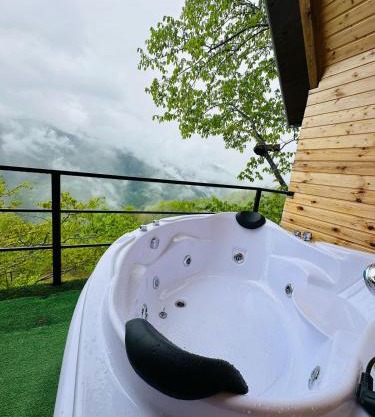 cottage panorama merisi