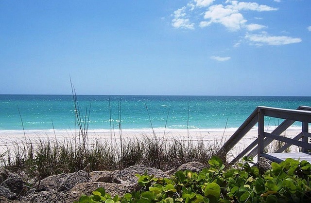 Cottage within walking distance to Casey Key Beach