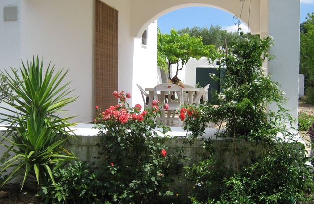 Country house surrounded by olive trees, a few km from Ostuni and the sea