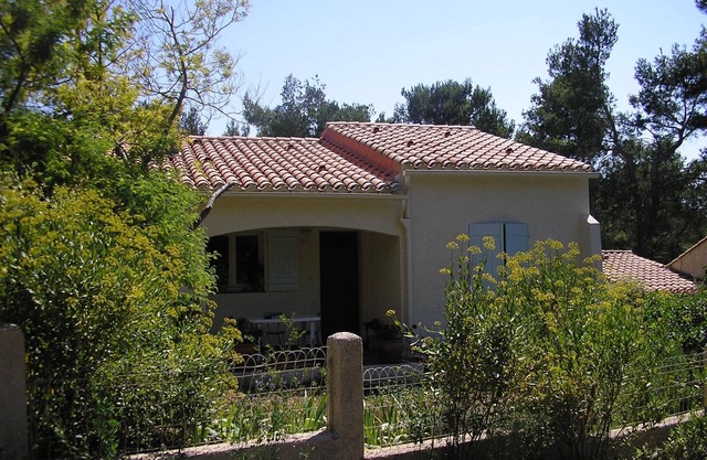 Country house with garden and pine- wood