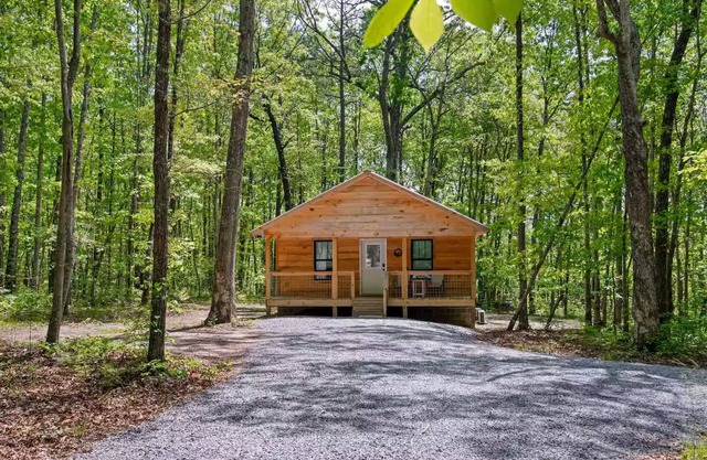 Coyote Den